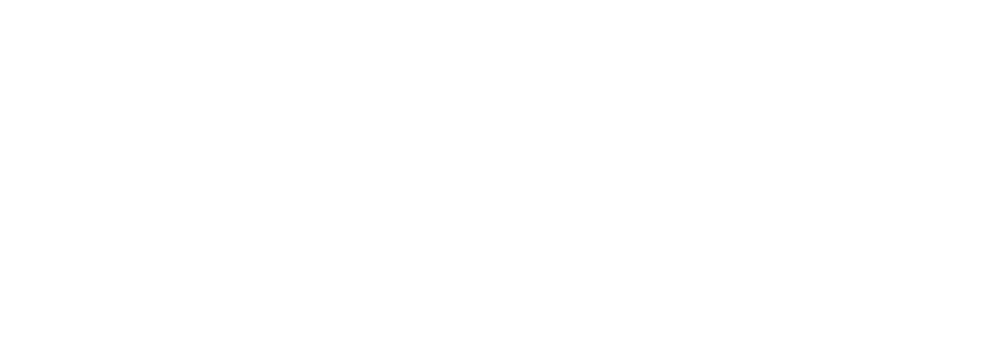 Devsfield Logo White